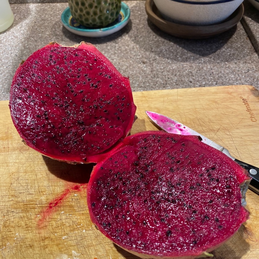 Vietnam red dragon fruit Cutting